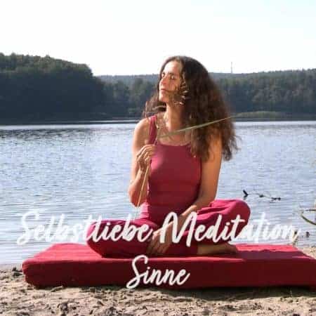 Meditation Sinne Video